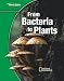 Glencoe Life iScience Modules: From Bacteria to Plants, Grade 7, Student Edition (GLEN SCI: FROM BACTERIA TO PLT)