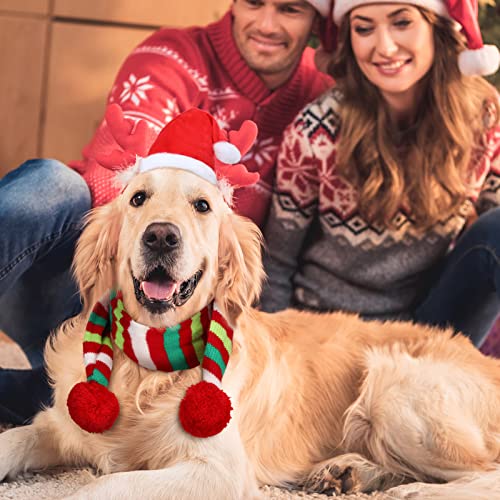 6 piezas disfraz navideño para perro con gorro y bufanda miniatura 3