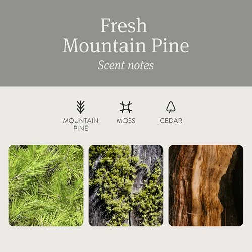 Image of Drift Car Air Freshener - Stone Air Freshener Car Odor Eliminator - Long Lasting Scent - Auto Accessories - Metal Clip - Essential Oils - Clean Ingredients - Pine Scent Starter Kit