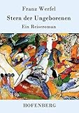 Stern der Ungeborenen: Ein Reiseroman - Franz Werfel 