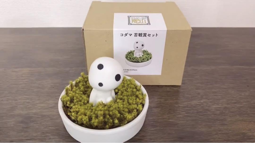 Amazon.co.jp: ジブリパーク限定 コダマ苔鑑賞セット : おもちゃ