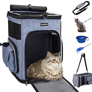 Katzen Rucksack Hunde Raumkapsel Haustier Tragetasche mit Mesh Hunde Katzen Kleine Hunde Tragbar Transportrucksack , 15lbs Welpen Rucksack zum Wandern, Wandern, Reisen im Freien