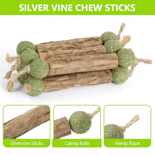 OSDUE Katzenminze Sticks, 6 Stück Matatabi Kausticks mit Ball Katzenminze Spielzeug Katzen Kauhölzer Sticks für Katzen Zahnpflege & Gegen Mundgeruch Natürlich Sicher Katzensticks Kausticks Set