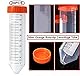 HUAZIZ 20 Stück Konische Zentrifugenröhren, 50ml Polypropylen Abgestuft Konische Zentrifugenröhrchen mit Orange Schraubverschluss, Conical Centrifuge Tubes