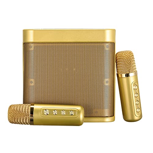 PaNt máquina de Karaoke con Bluetooth- con 2 micrófonos inalámbricos