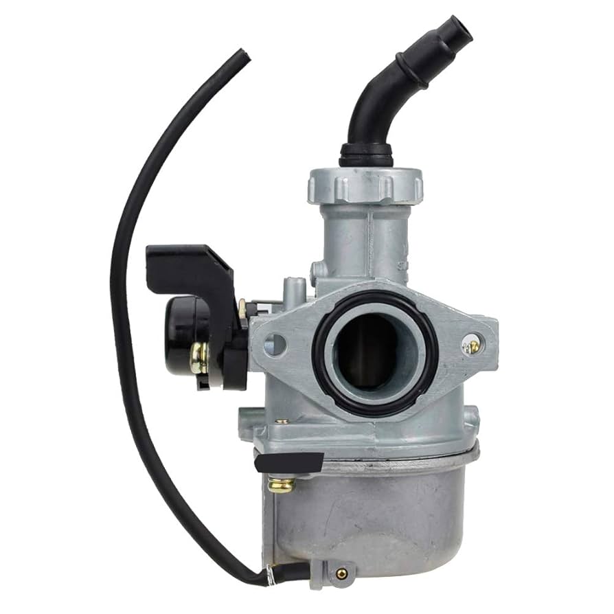 CHII⭐︎ Amazon.com: HIAORS PZ22 Carburetor 22mm Hand Choke