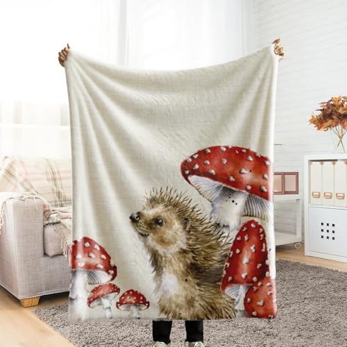 ѕz VO ӂӂ uPbg blanket for winter G| ͂˂ݕ ~ Ƃӂ blanket for all season Ђ| ~p  Ódh~ y ΍ Ȃ߂炩 lGKp