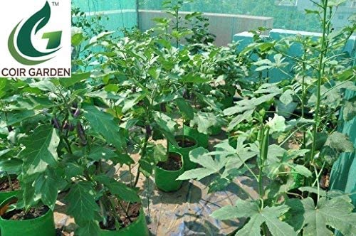 COIR GARDEN-Terrace Gardening HDPE Grow Bags for Vegetable Plants (18"x12"x8" Inches) - [46cms(L) X30cms(W) X20cms(H)] - Pack of 4
