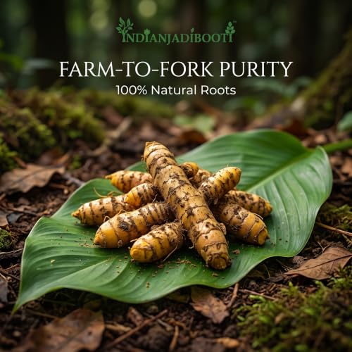 Image of IndianJadiBooti Shatavari Yellow (Asparagus racemosus) | Natural Satavar Herb For Hormonal Balance & Reproductive Health | 400 Grams