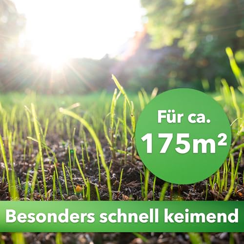 Hesa Nachsaatrasen, 5 kg für 175 m², RSM 3.2, schnellkeimende Premium Rasennachsaat von Frühling bis Herbst, Rasenreparatur in Profiqualität