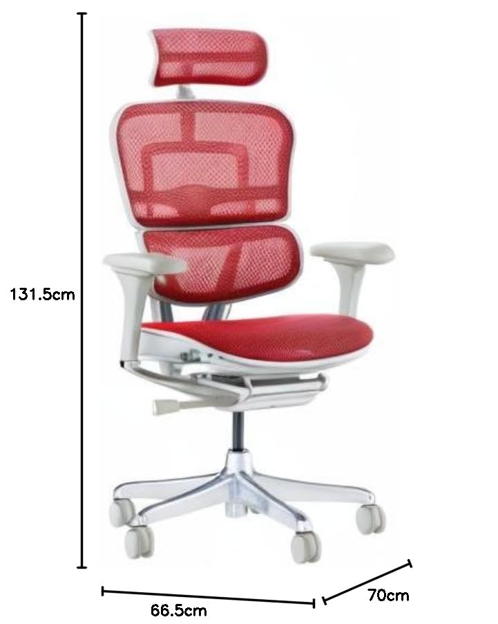 Amazon.co.jp: 【メーカー組立済 完成品】Ergohuman エルゴヒューマン