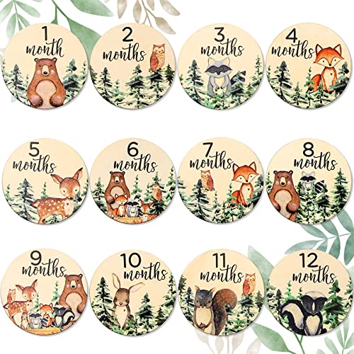 Image of Whaline 12Pcs Woodland Baby Monthly Milestone Cards Milestone Wooden Discs Double-Sided Cute Animal Baby's First Year Age Announcement Sign for Newborn Baby Photo Props Gift