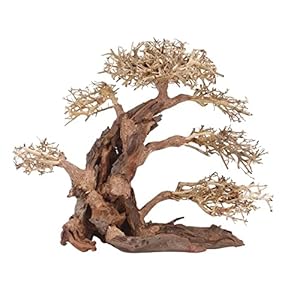 AquaOne Aquarium Bonsai boom XXL nr. 13040 wortel Oriëntaal hout 50x25x40 cm I Aquascaping decoratie I natuur unicum…