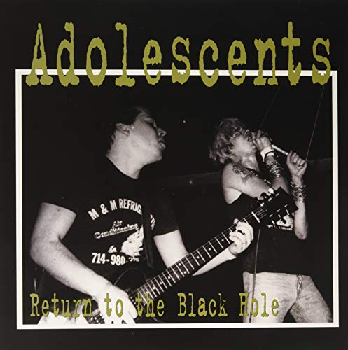 Album art for Return To The Black Hole by The Adolescents