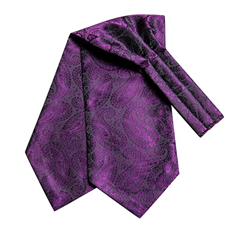 Image of Hi-Tie Ascot Lapel Pin Set Mens Cravat Ties for men Wedding Scarf Tie Party Business Formal Tuxedo,Plum Purple Paisley
