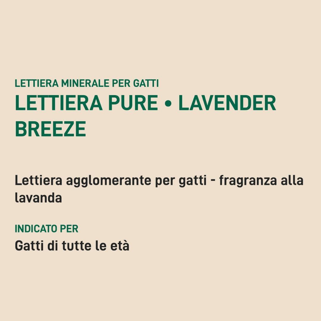 Arena para gatos Oasy Lavender Breeze, arena súper aglomerante para gatos de todas las edades y tamaños, fragancia relajante a lavanda | 1 paquete de 10 litros