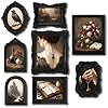 Lineshading 8 Pcs Gothic Picture Vintage Gallery Wall Frame Set, Antique Resin Picture Frame Collage Including Baroque Victorian for Wall Tabletop Display for BedroomBlack