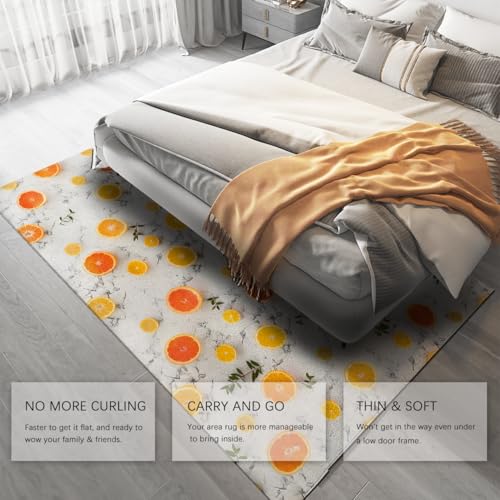 Tapis moderne antidérapant et lavable à texture légère pour paillasson de salon