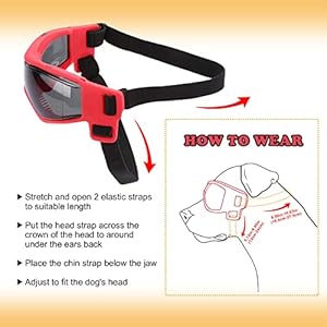 Goggles-for-Dogs-Ownpets-Dog-Glasses-UV-Protection-Goggles-Snow-Protection-Wind-Protection-Dust-Protection-with-Adjustable-Strap-Safety-Pet-Sunglasses-for-Small-and-Medium-Dog-Red - Cucciolini Doodles   Goggles-for-Dogs-Ownpets-Dog-Glasses-UV-Protection-Goggles-Snow-Protection-Wind-Protection-Dust-Protection-with-Adjustable-Strap-Safety-Pet-Sunglasses-for-Small-and-Medium-Dog-Red