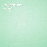 lp record case size  Case Study LP