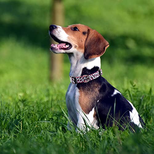 Xyart Girl Dog Collars - Rose, Sunflower, Daisy And Leopard Design In Small, Medium, Large For Female Dogs Leopard Pink S #TOP2