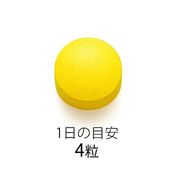 新品未使用☆ファンケル 内脂サポート 90日分（30日分×3袋） Amazon | ファンケル (FANCL) 内脂サポート 90日分 (30日分×3袋