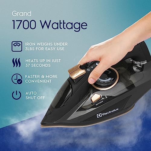 Electrolux Professional Steam Iron For Clothes thumb #3