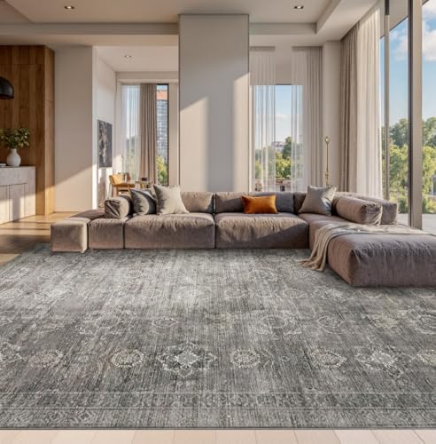 Rugxara 10x14 Area Rugs for Living Room Bedroom, Large Washable