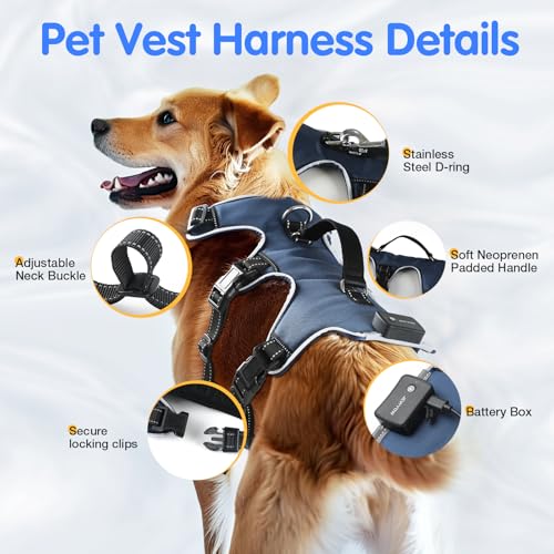 Jewyow Hundegeschirr Leuchtend, Wiederaufladbare LED Hundegeschirr, Led Geschirr für Hunde mit Weicher Griff, 3 Einstellbare Modus, Wasserdicht für Mittelgroße, Große Hund, Blau-L