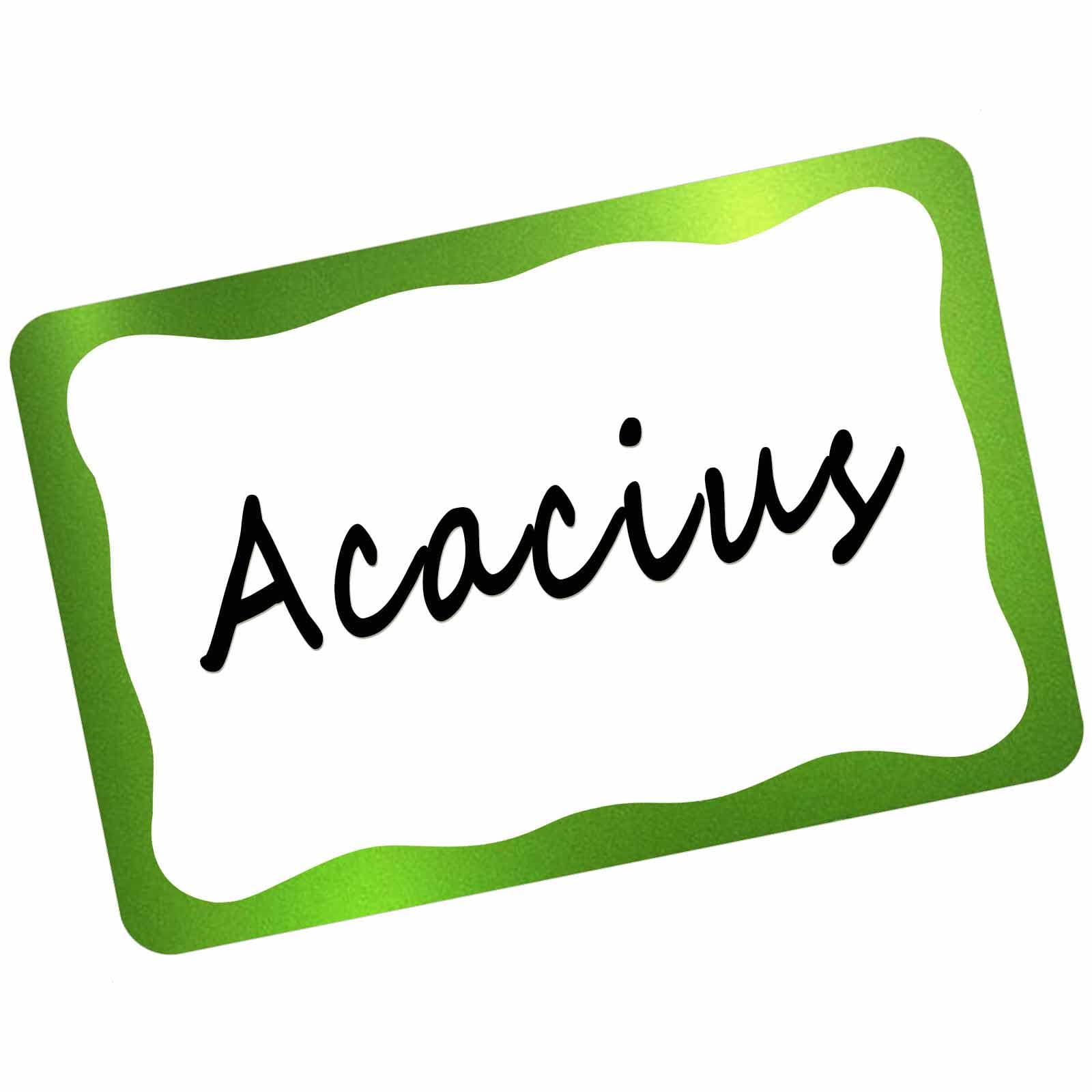 DUGUTUL Elegant Foil Stamped Name Tags Stickers - 200 PCS Set of Premium Metallic Name Labels with Adhesive - Perfect for School, Office, Home, and