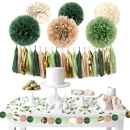 Image of AOBKIAT Sage Green Wedding Party Decorations Kit,28 PCS | with Tissue Paper Pom Poms,Garland,Tassels Hanging Backdrop for Birthday,Bridal Baby Shower,Boho Wedding Party Supplies