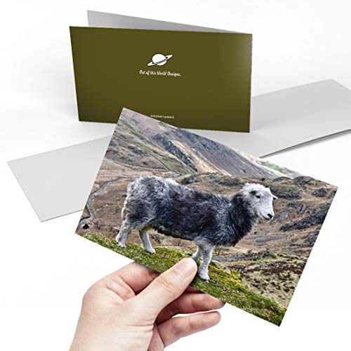 Herdwick Sheep for sale in UK 59 used Herdwick Sheeps