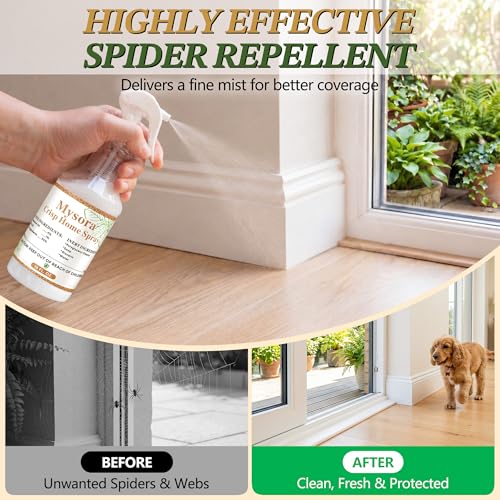 Image of 16 fl oz Peppermint Oil Spider Repellent Spray with 2 Pcs 1 fl oz Concentrate, Natural Indoor & Outdoor Bug Control, Spider Spray for Ants, Roaches, Insects, Extra-Strong Plant Based Repellent