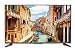 SCEPTRE 50" 4K UHD Ultra Slim LED TV 3840x2160 Memc 120, Metal Black 2019 (U518CV-UMS)