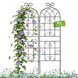 Lorenzo 70-inch Rustic Iron Garden Trellis