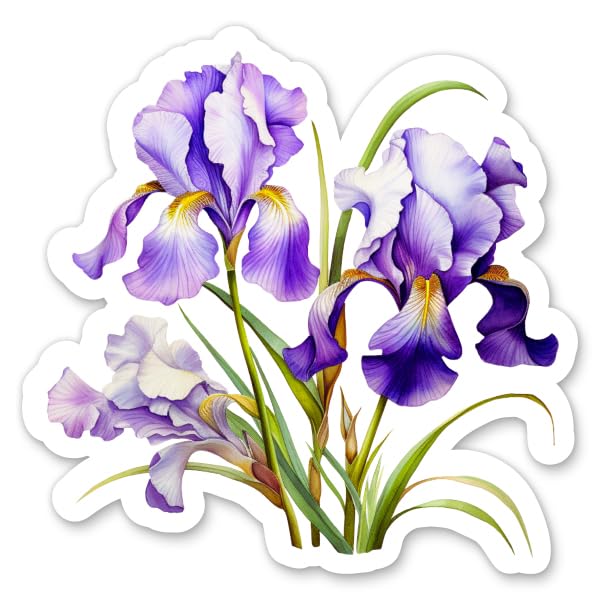 ②hwara様　3月　最新作　 Iris ステッカー　8枚＋装飾2枚＋おまけ付き Amazon.com: Beautiful Iris Flowers Stickers - 2 Pack - Waterproof