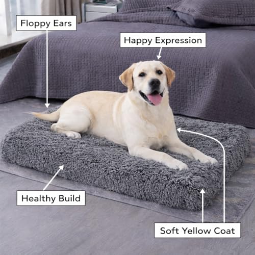 Image of ZEXSAZONE High-Density Rebond Foam Cooling Dog Bed for Summer | 90 x 60 CM Large Soft Rectangular Pet Bed | Washable Thick Cushion with Anti-Slip Bottom | Indoor Use (Large, Grey)