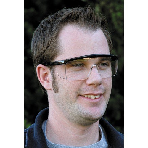 Batian - Black Goggles/Clear Vapor Shield, G-15 Vapor Shield Lenses