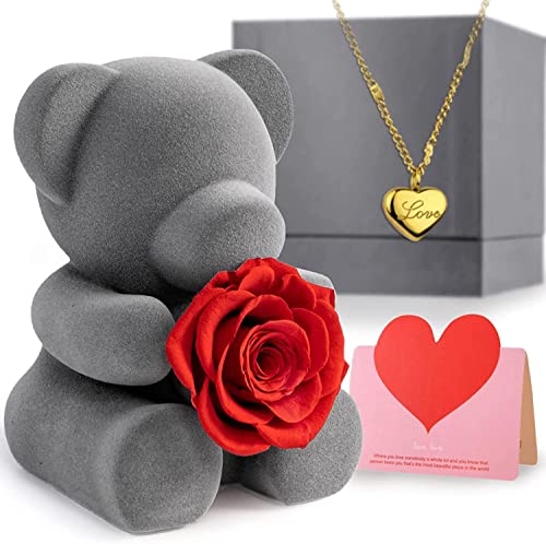 Ewige Rose mit Herz Halskette und Teddybär Geschenkbox,Rosenbox Infinity rosen,Echte Rote Rose mit kette 18k vergoldet,teddy Figur Geschenk für Frauen am Valentinstag,Muttertag,Hochzeitstag,Geburtstag