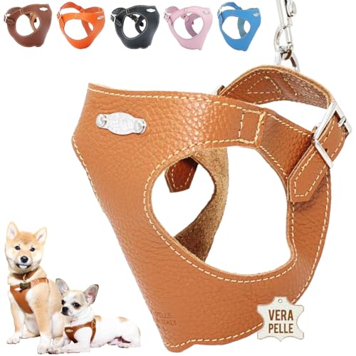 PUPAKIOTTI Pettorina Cane Taglia Piccola e Media | Pettorina per Cani in Pelle, Ergonomica e Regolabile, disponibile in Diverse Colorazioni (XL-XXL, Cuoio)