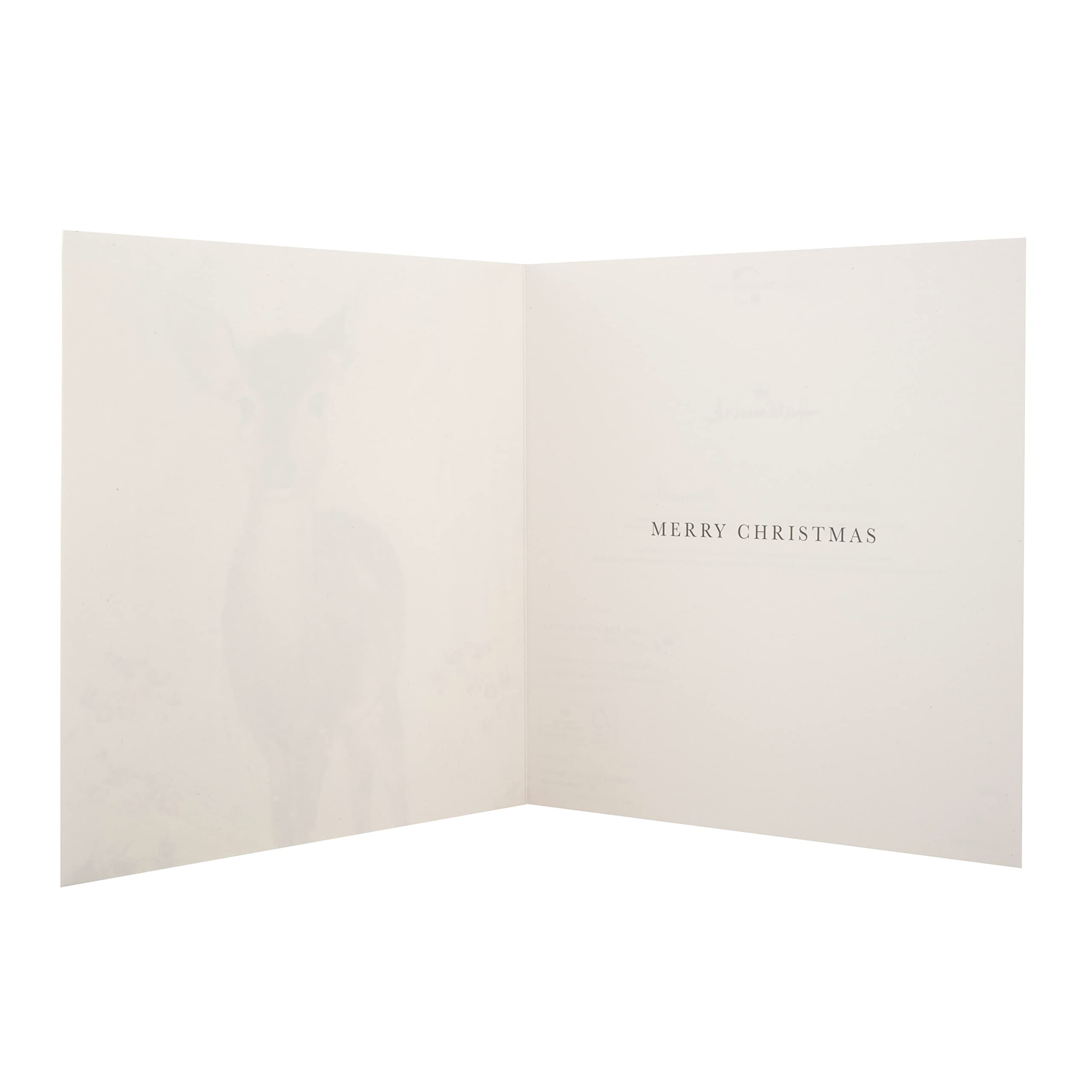 Noel Tatt Weihnachtskarten, 10 Stück – Künstlerisches Design, FSC-zertifiziert, Für Wohltätige Zwecke