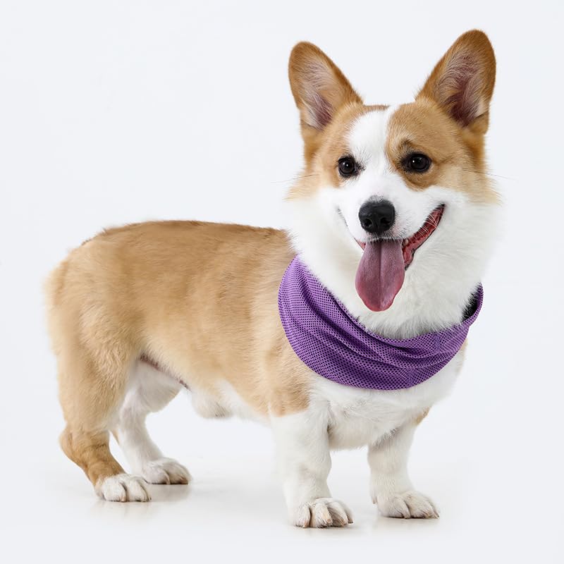 Nvzi Purple S Size Pet Cooling Bandana Collar Dog Cooling Bandana Cat Cooling Collar, Breathable Scarf for Summer- 1 Piece