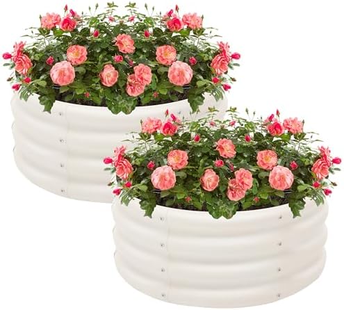  Galvanized Raised Garden Bed