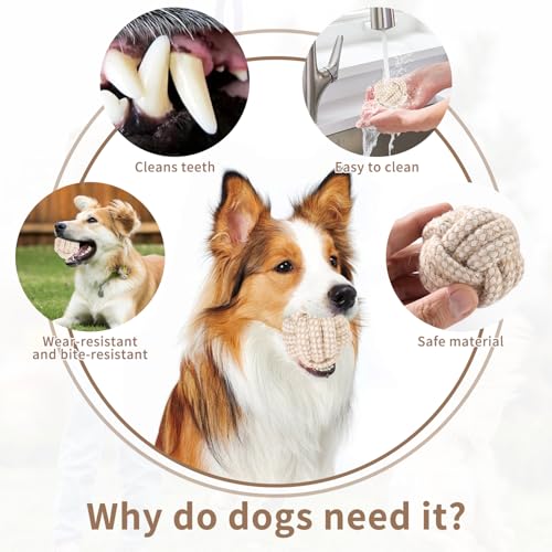 5 Stück Hundespielzeug Seil,Seilspielzeug für Kleine Hunde,Hundespielzeug Seil mit Knoten Ball,Geflochtene Hundeseile Spielzeug aus Baumwolle & Hanf,Baumwolle Interaktives Kauspielzeug für Welpen, Kle