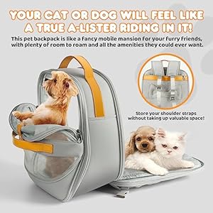   Pet-Carrier-Backpack-Breathable-Mesh-Soft-Cat-Carrier-for-Small-Dogs-and-Cats-Travel-Outdoor-Cat-Backpack-Bag-airline-approved-Dog-Carrier