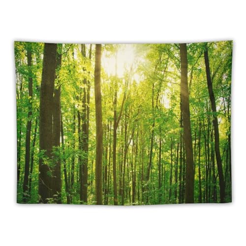 Asudfjgh Custom Wall Tapestry with Name and Signs, Personalized Backdrop for Wedding Birthday Fathers Mothers Valentines Day Gift, Horizon 40'x30'