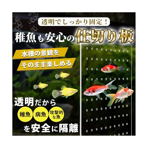 Pianna  d؂ d؂ ẙԎύXR݁zyǂł閧z Zp[^[ u  ̍{Bp zՕt