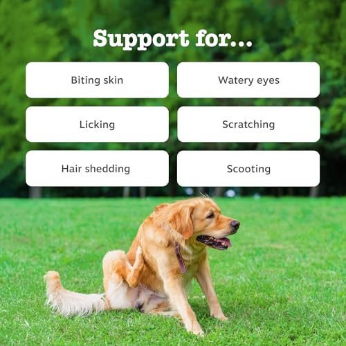 Zesty Paws Allergies & Immunity - Immune System & Skin Support - Dog Treat Supplement - Anti Itch Dog - Salmon Oil & Omega 3-90 Units - Image 3