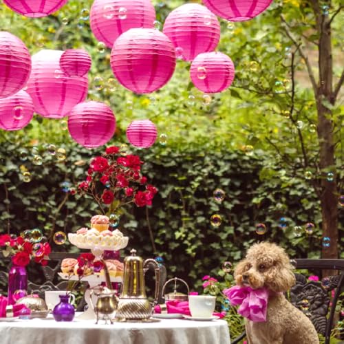 Image of Wanna Party 12 inch Fushia Round Paper Lanterns Decorative Hanging Chinese Japanese Paper Lanterns Lamp for Birthday Halloween Wedding Baby Bridal Shower Fall Home Decor Party Decoration