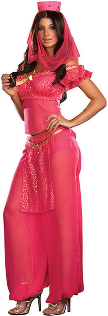 Womens Ladies Sexy Princess Jasmine Belly Dancer Genie Fancy Dress Costume Size 10